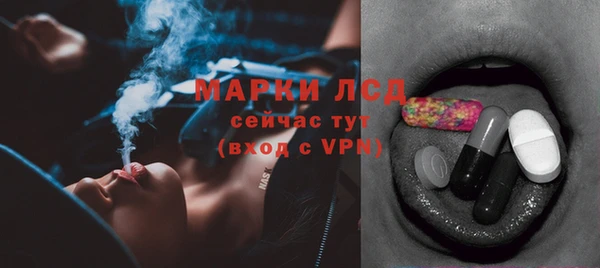 эйфоретик Майский