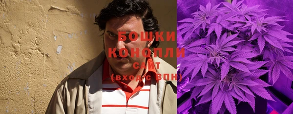 эйфоретик Майский