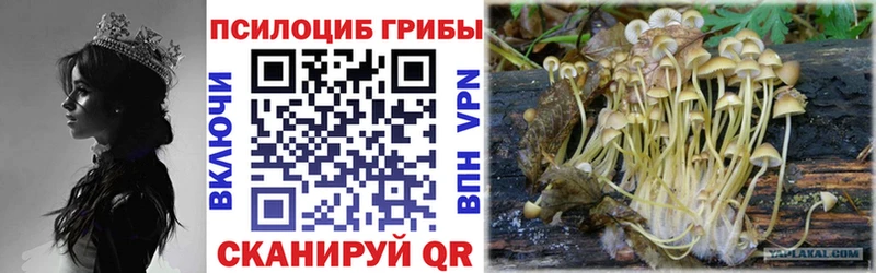 блэк спрут   Рославль  Галлюциногенные грибы ЛСД  наркотики 